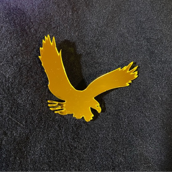 Lucite mirrored eagle pin, very unique, handmade, approx 3”x2” GUC, slight scuff - Picture 4 of 5